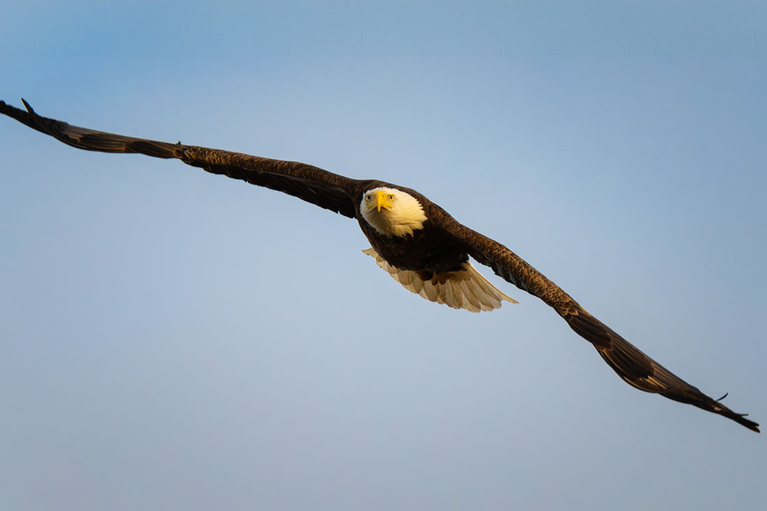 20260301154443_67526.jpg _Z8D4353_DxO.jpg