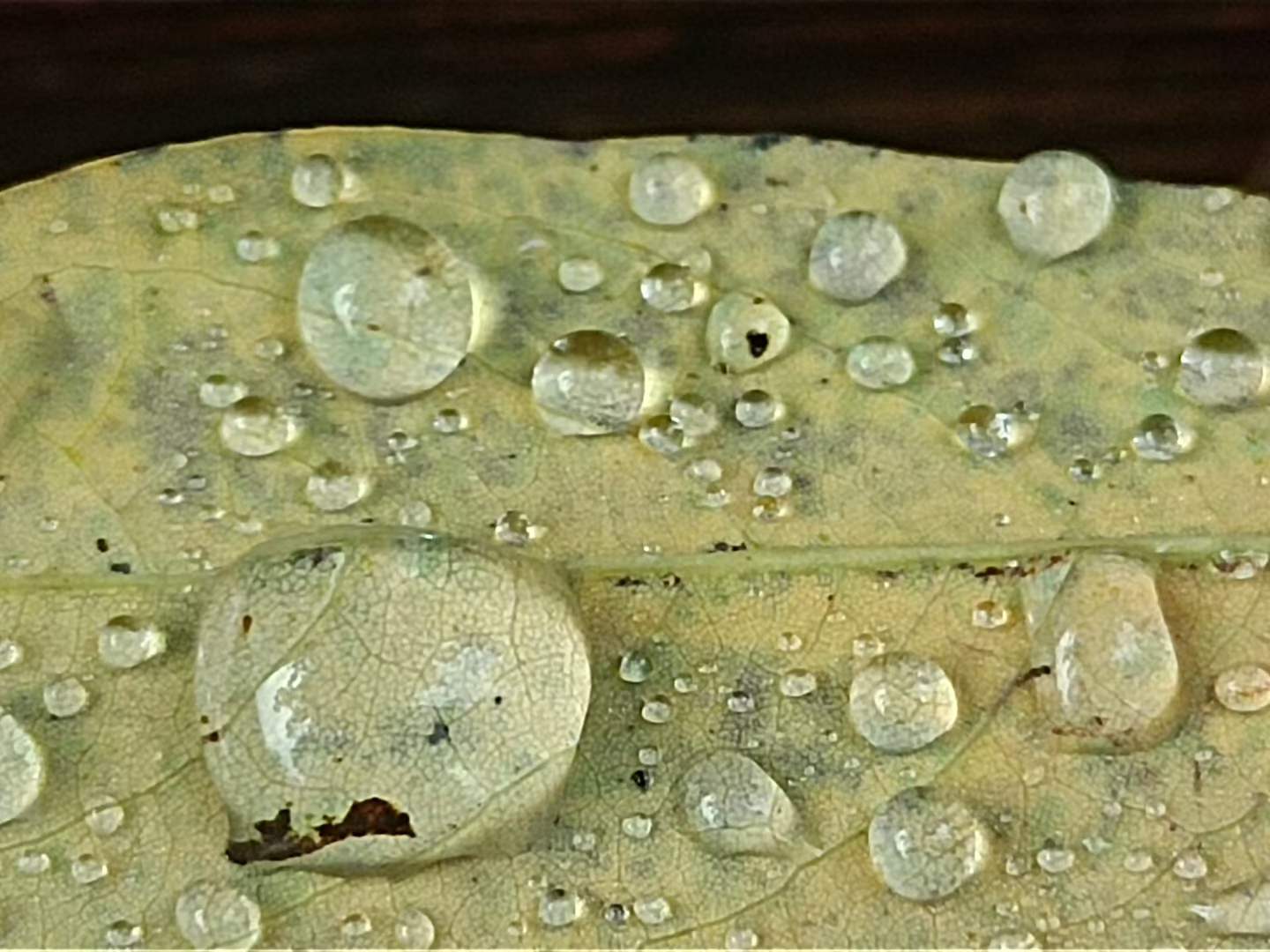 20260301165616_81001.jpg 1000024043.jpg