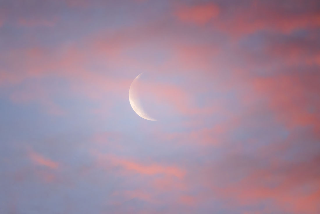 20260316191135_60761.jpg _Z8D5308_DxO.jpg