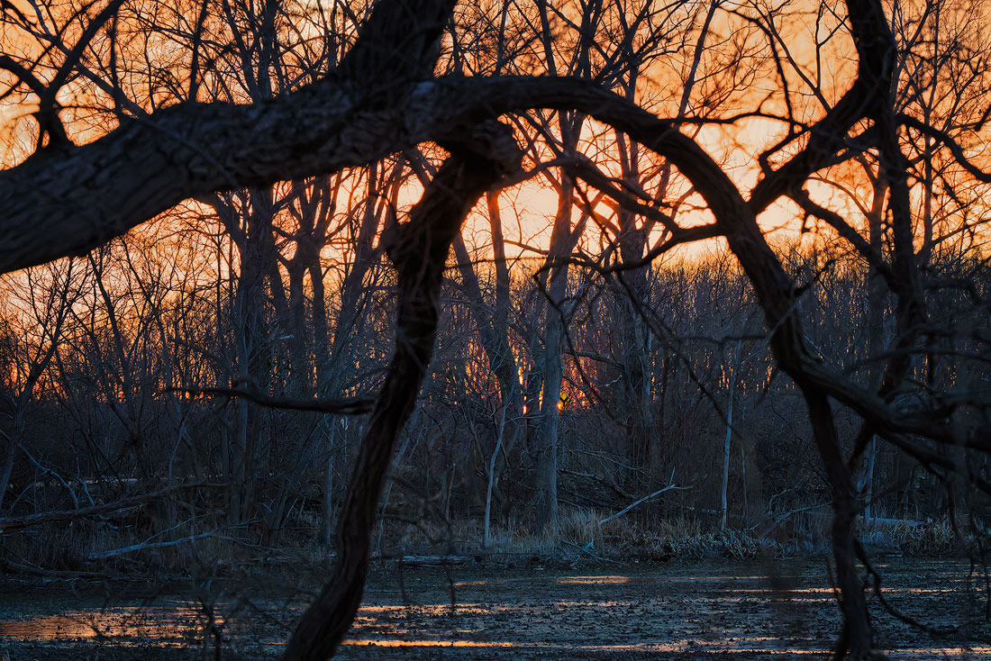 20260316191208_88897.jpg _Z8D5318_DxO.jpg