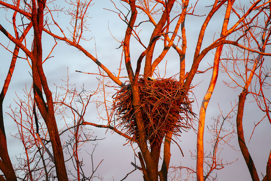 20260316192339_40545.jpg _Z8D5328_DxO.jpg