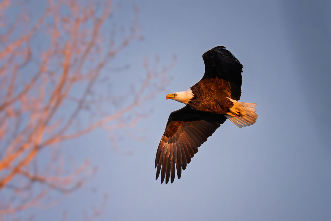 20260316192517_82728.jpg _Z8D5398_DxO.jpg