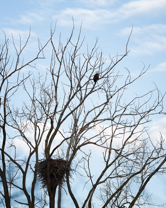 20260316194008_29869.jpg _Z8D5514_DxO.jpg