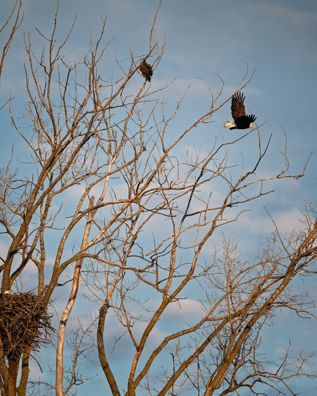 20260316194441_89782.jpg _Z8D5594_DxO.jpg