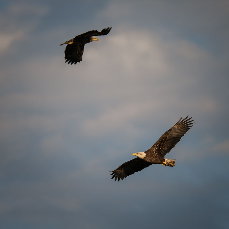 20260316194910_33308.jpg _Z8D5633_DxO.jpg