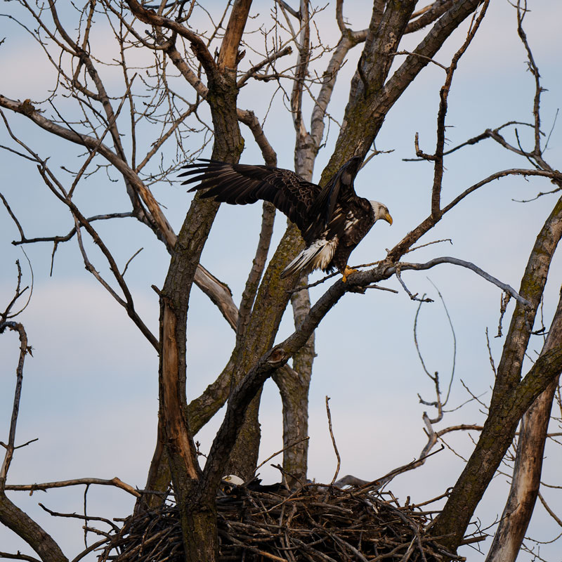 20260316195303_47297.jpg _Z8D5686_DxO.jpg