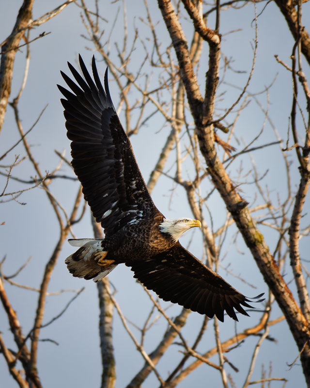 20260316195418_59351.jpg _Z8D5710_DxO.jpg