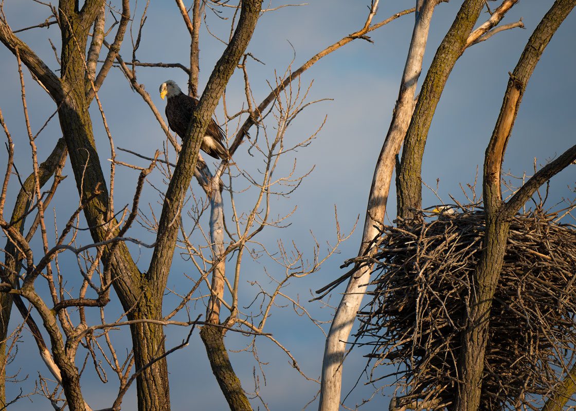 20260316195829_77286.jpg _Z8D5732_DxO.jpg