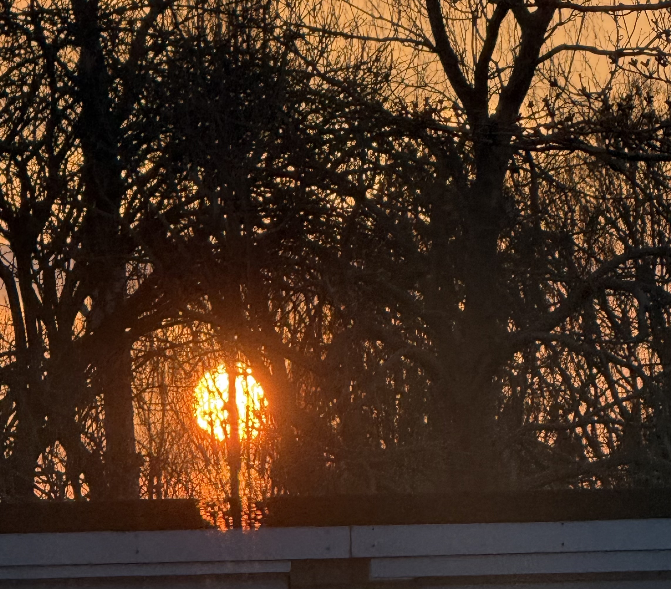 竹砚兄 秋深了.jpeg