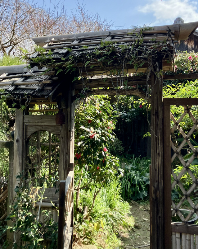 20260321051308_20472.jpg 罘罳廛客1.jpg