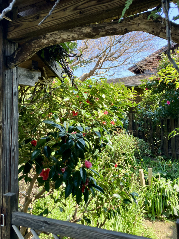 20260321051327_23143.jpg 罘罳廛客2.jpg