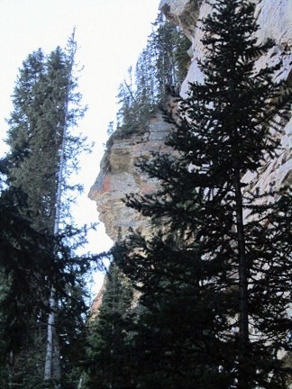 20260321164028_42083.jpg 1000024213.jpg