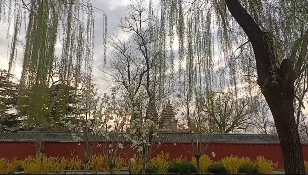 20260330172510_49263.png 1000024785.png