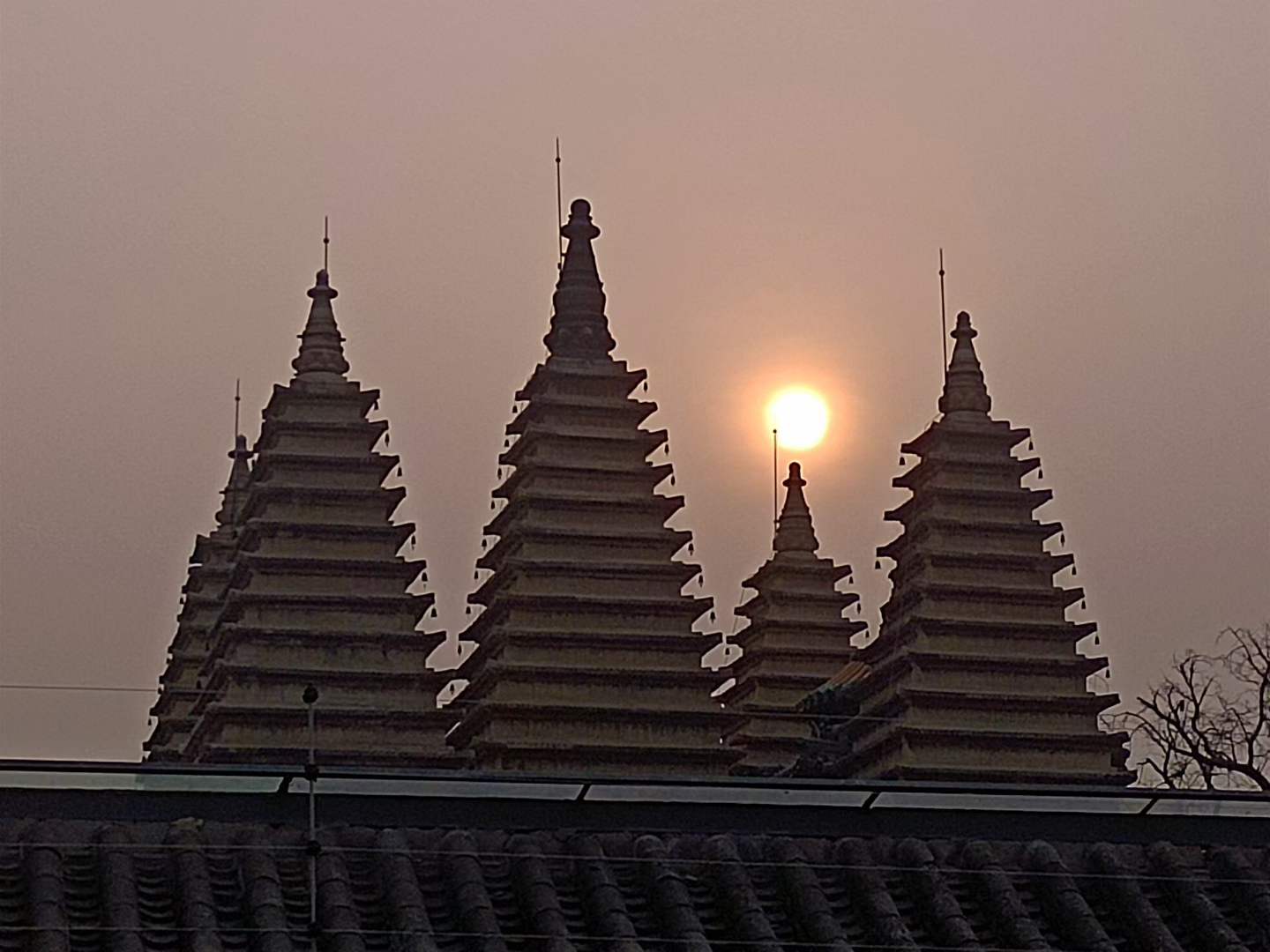 20260331162806_63605.jpg 1000024624.jpg