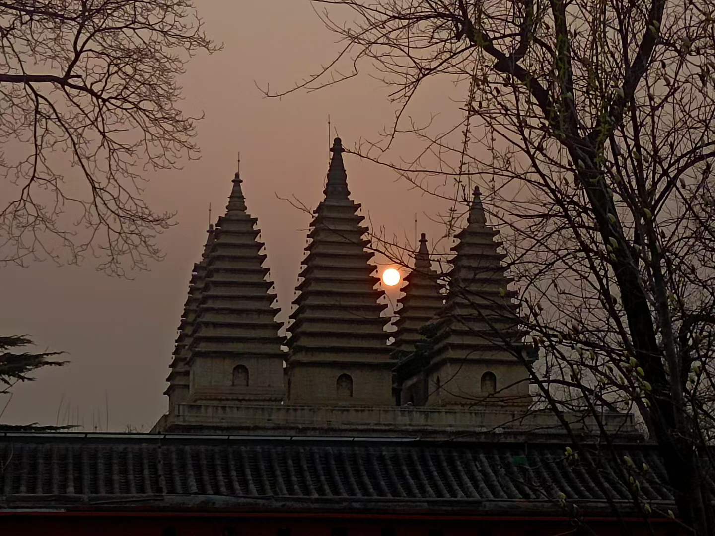 20260331162821_14821.jpg 1000024623.jpg