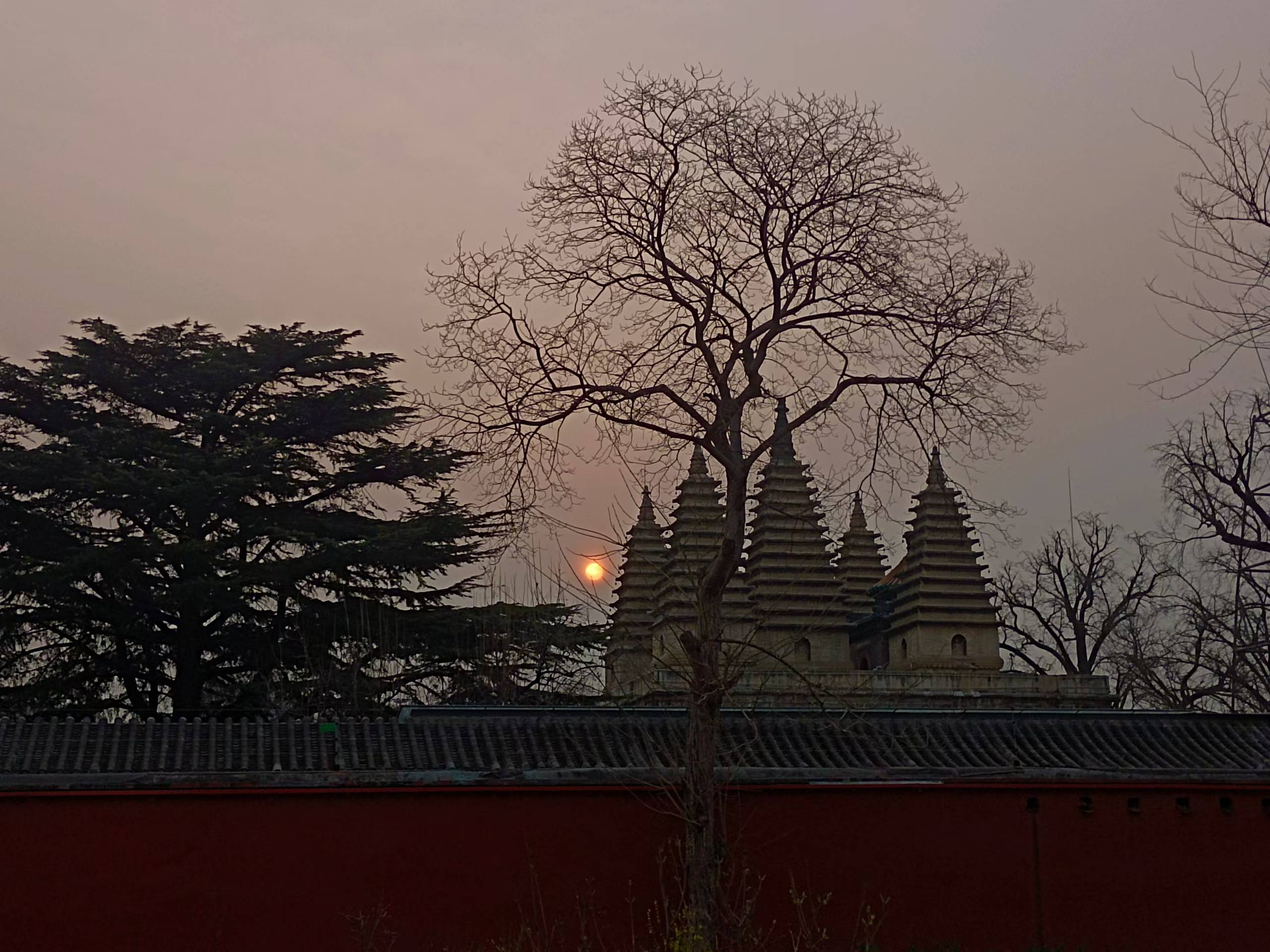 20260331162837_37335.jpg 1000024622.jpg