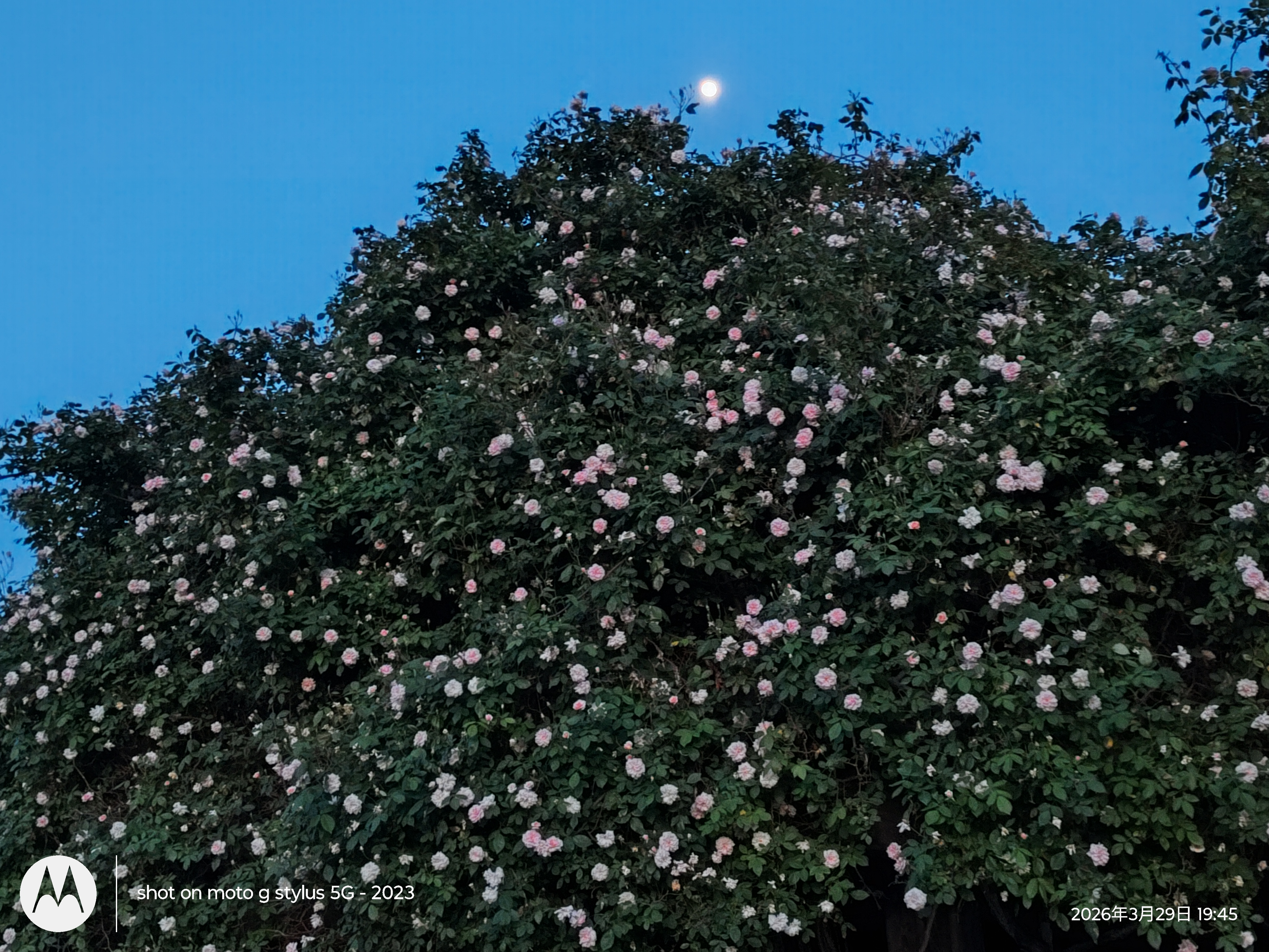 20260401103043_35093.jpg 1000024760.jpg