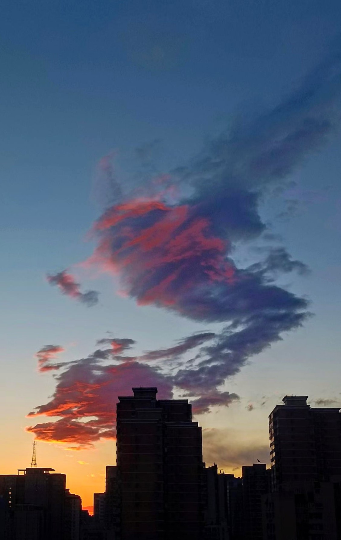 20260406140131_24194.jpg 1000024893.jpg