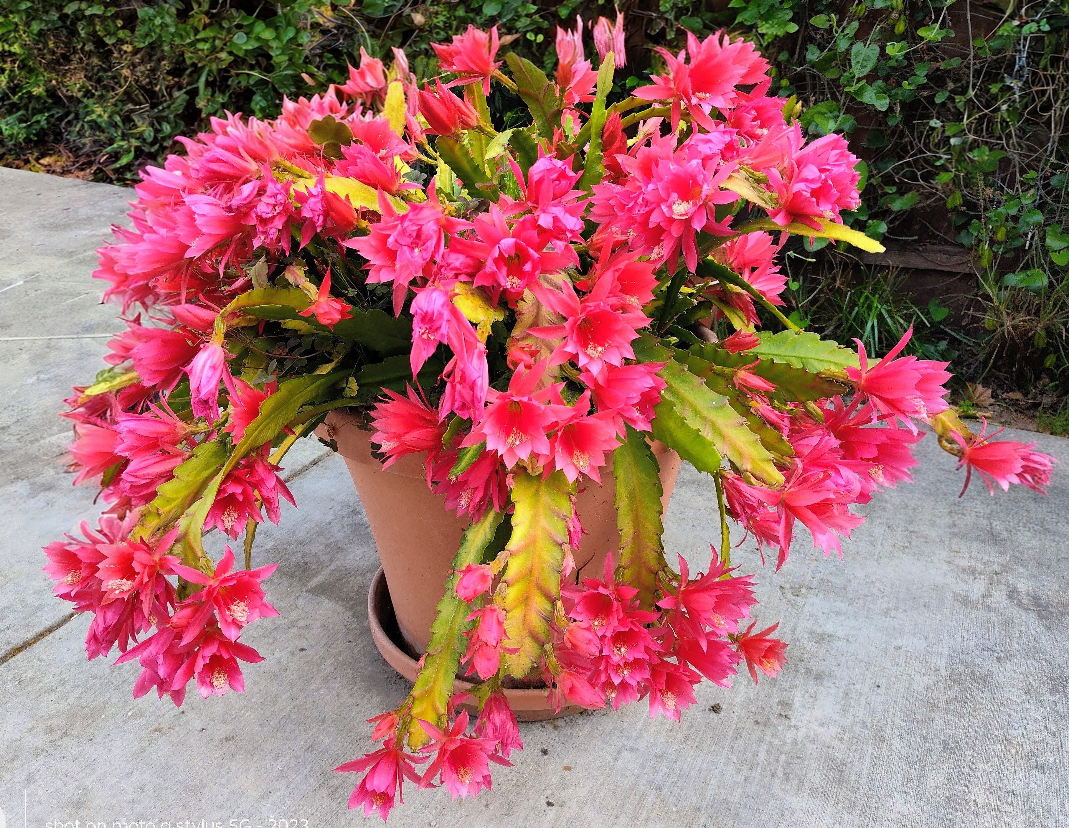 20260406140139_87244.jpg 1000024891.jpg