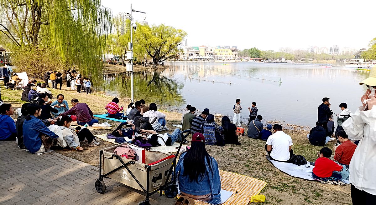 20260414131552_59377.jpg 015.jpg