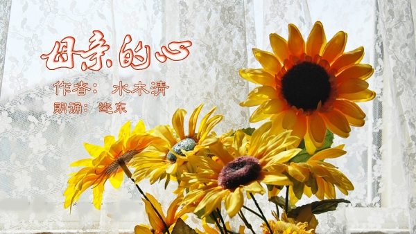ĸ�׵���-600.jpg