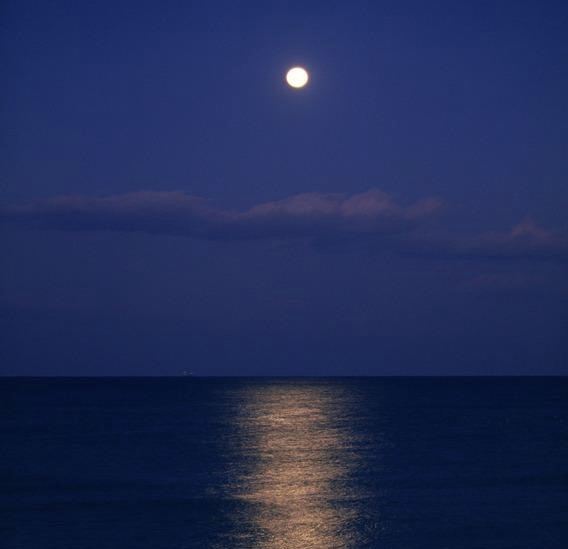 src=http___img3.redocn.com_20120525_Redocn_2012052502435893.jpg&refer=http___img3.redocn (1).jpg