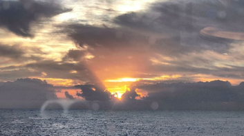 20260526060324_37003.png image (9).png