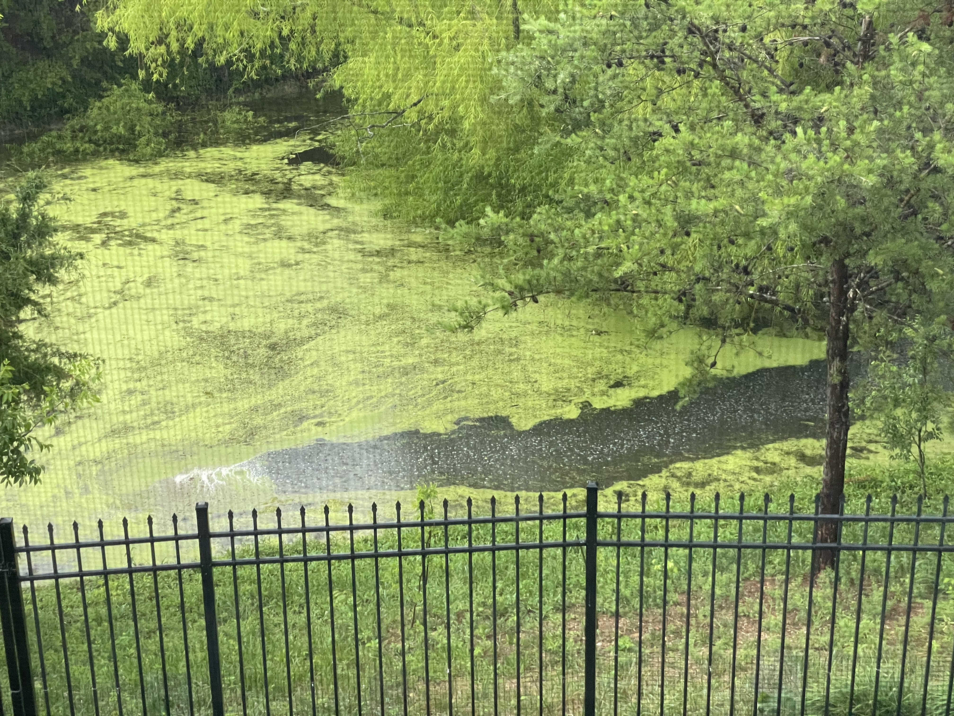 IMG_3054.jpeg