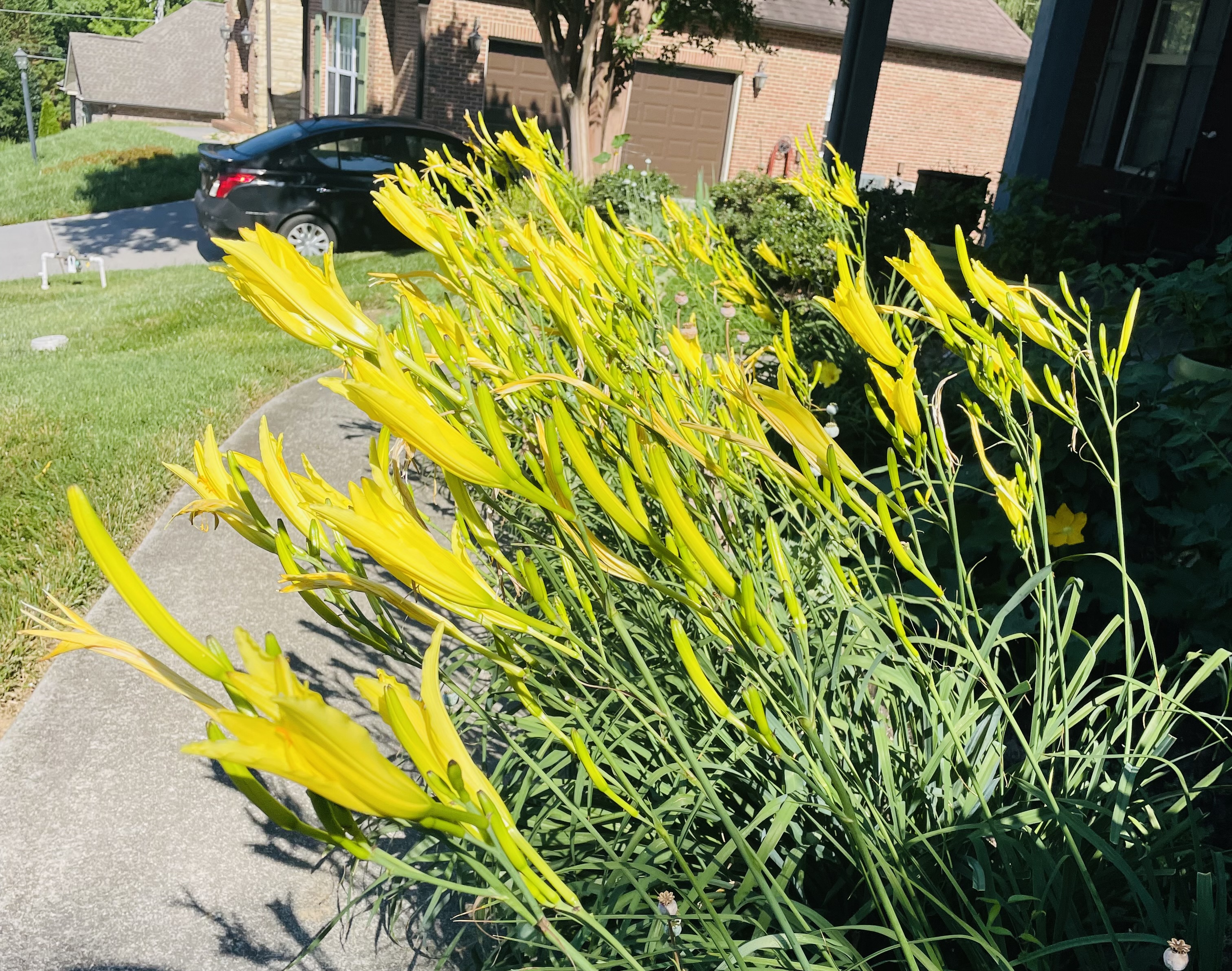 IMG_3049.jpeg