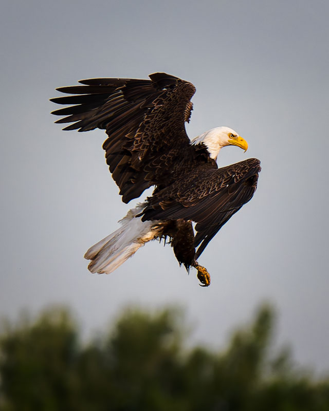 20260706131438_67712.jpg _Z8D1176_DxO.jpg