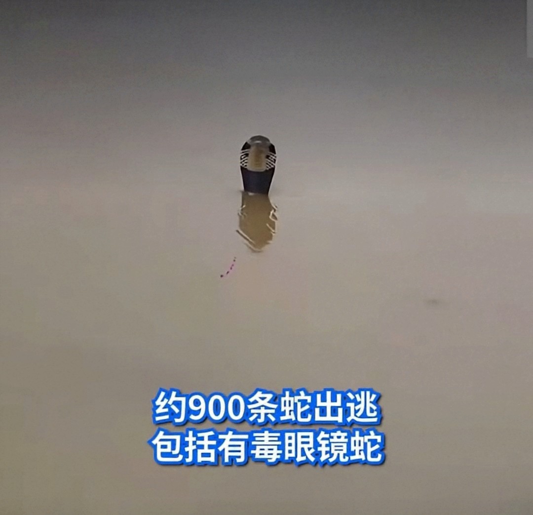 1000028005.png