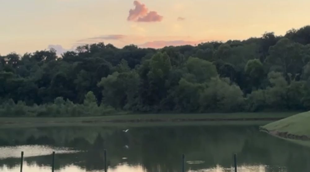 IMG_6538.jpeg