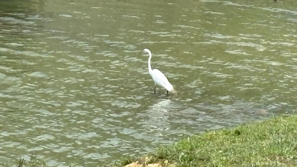 IMG_6548.jpeg