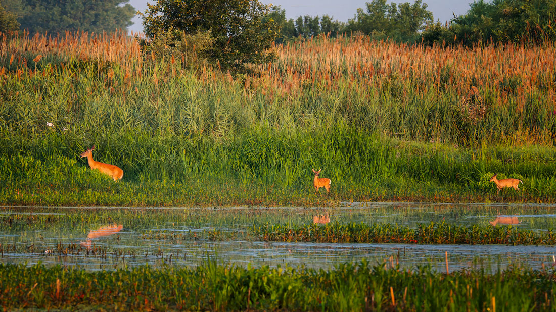 _Z8D7291_DxO-Pano.jpg