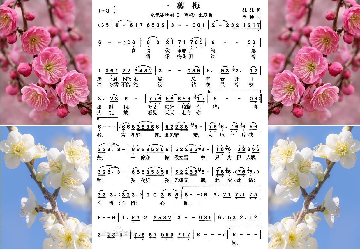һ��÷.jpg