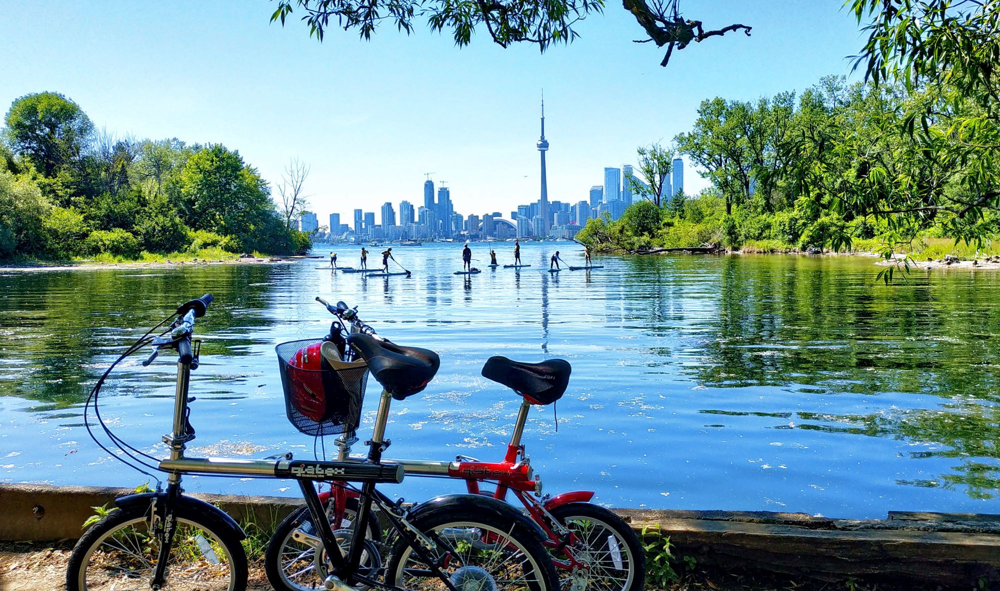 Toronto.jpg