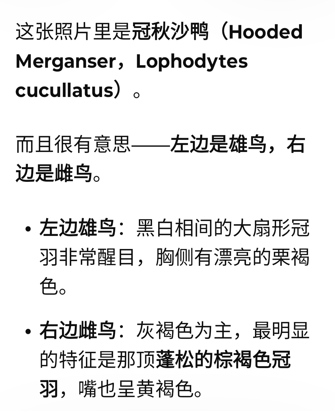 1000029760.png