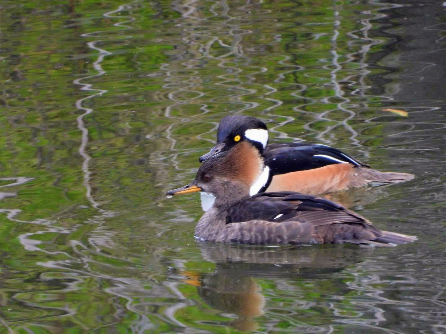 1000029951.jpg