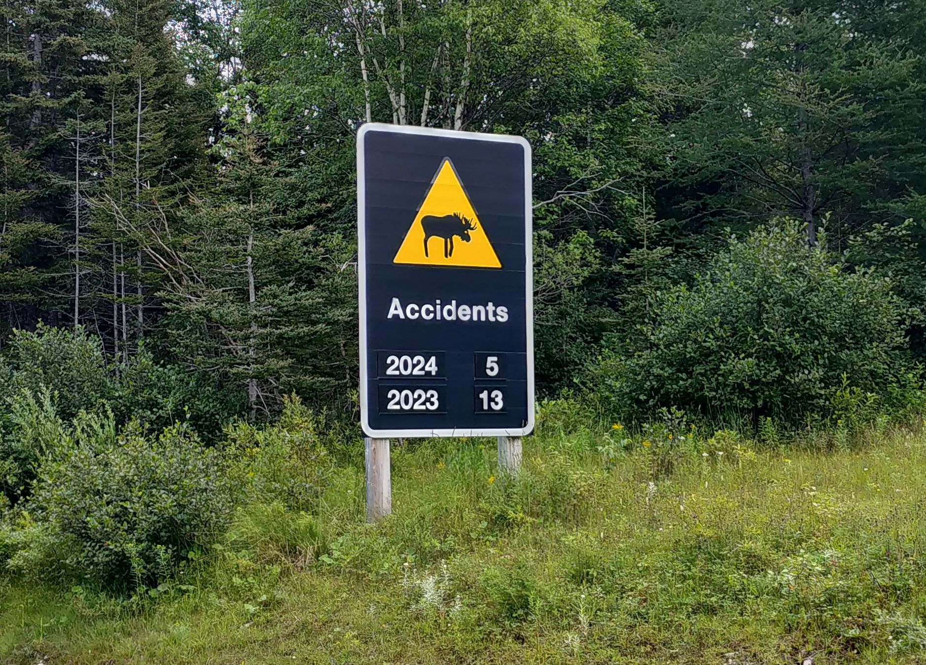 20260922134345_24953.jpg Clipboard01.jpg