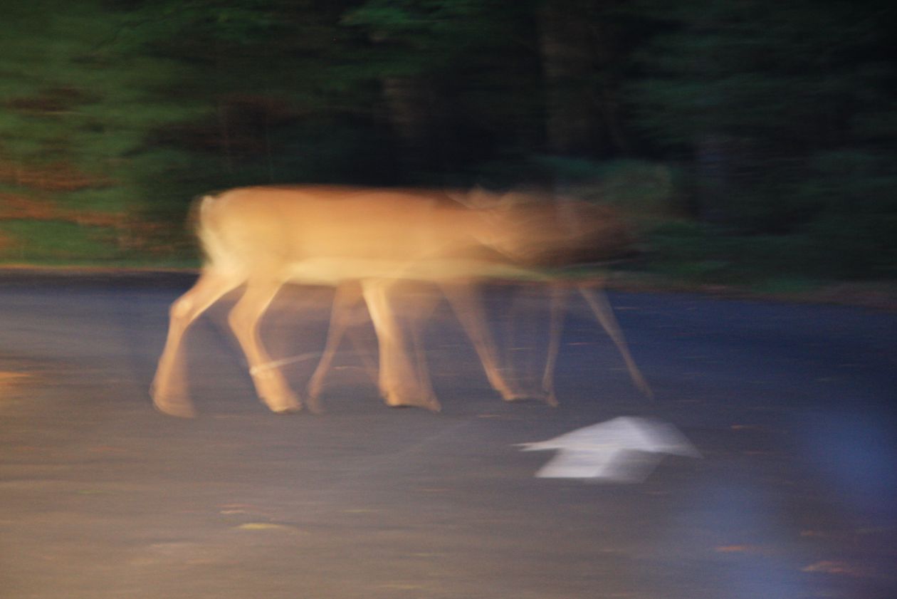 006.jpg