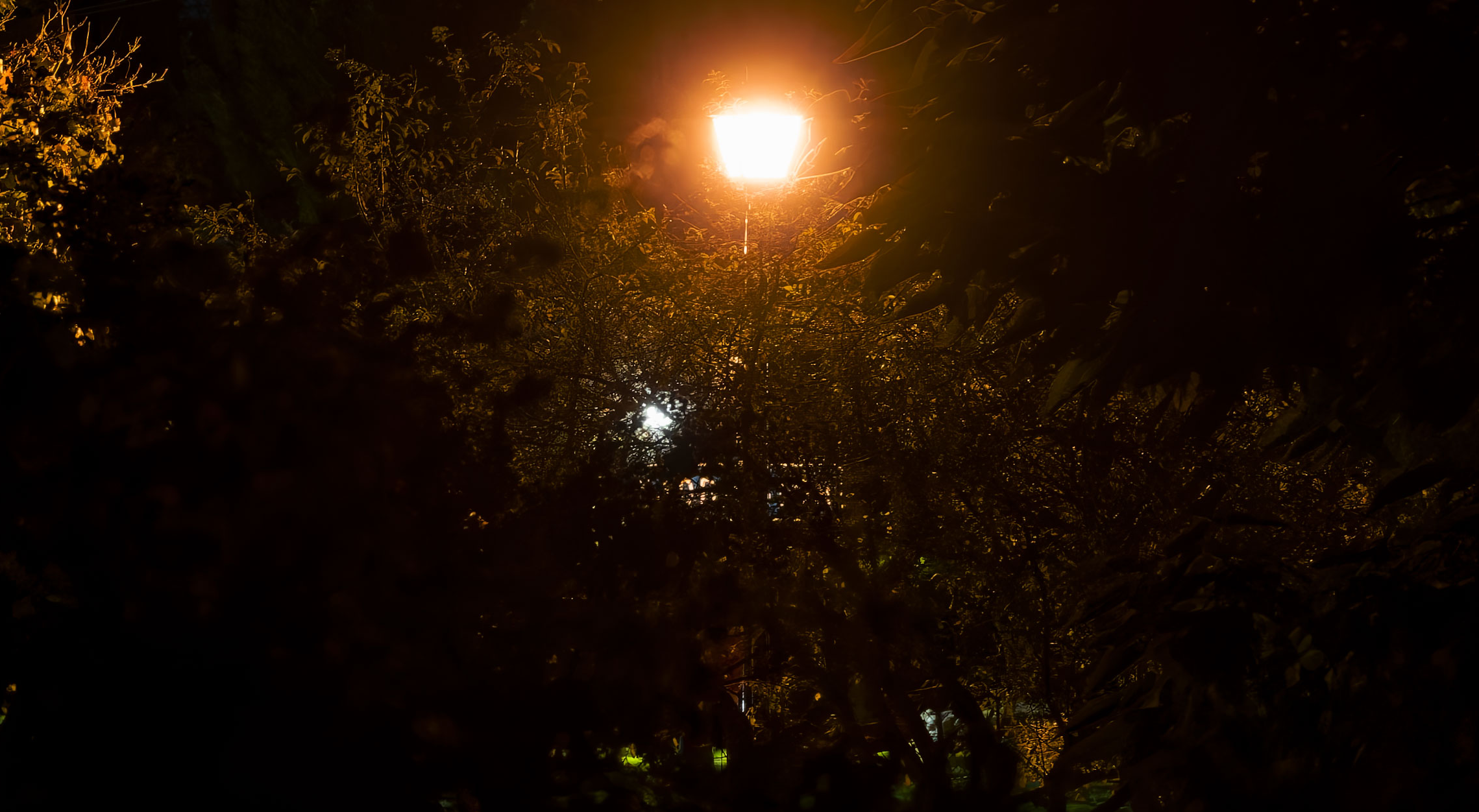 20261008191658_38750.png image.png