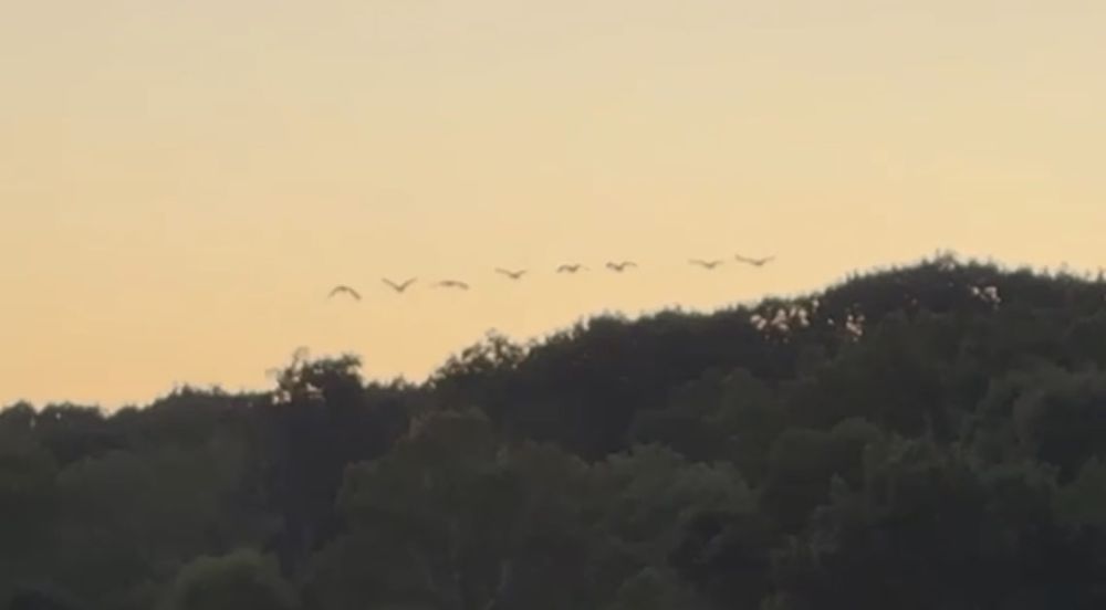 IMG_8611.jpeg