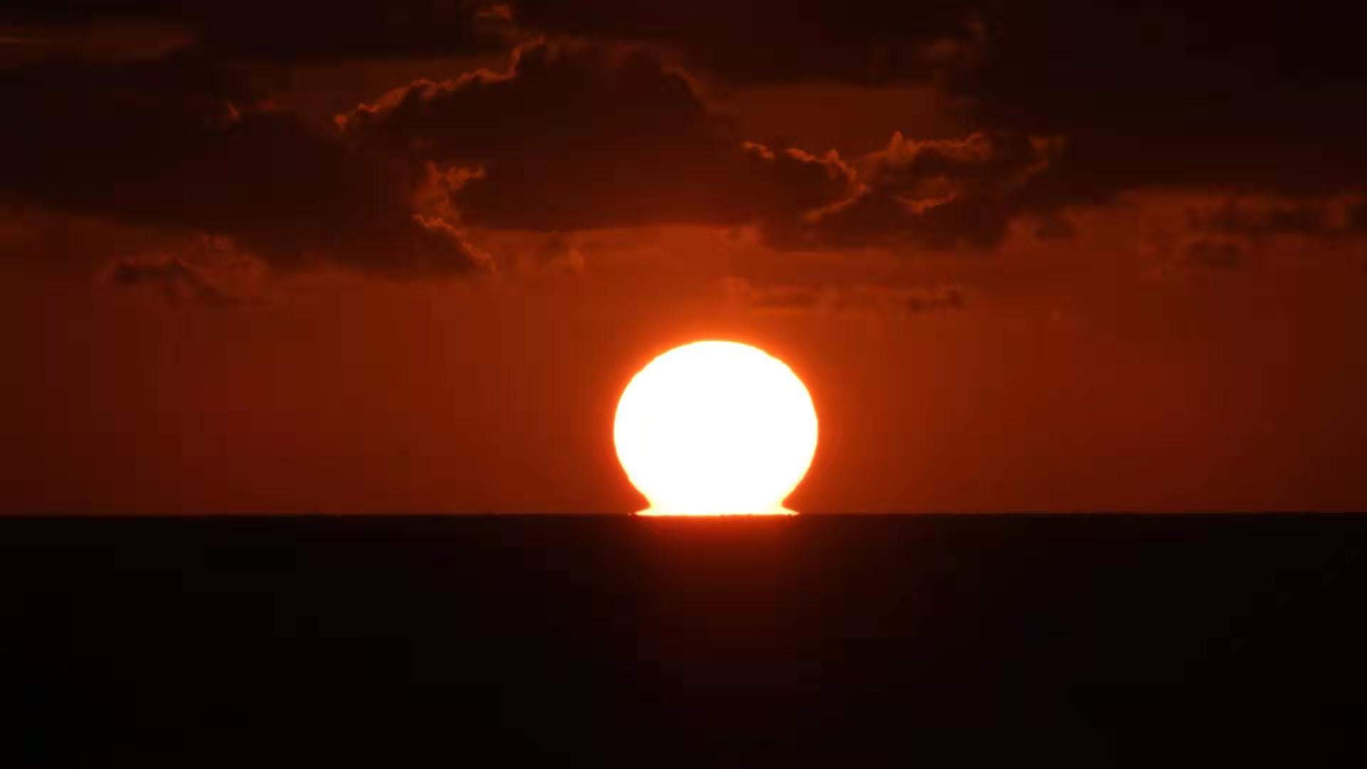 20261016145820_89091.jpg 1000029504.jpg